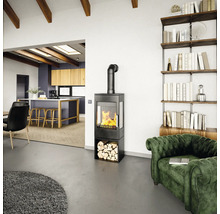 Salon avec poêle à bois, étagère en bois et rembourrage vert