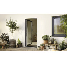 Terrasse avec porte anti-insectes, fenêtre et diverses plantes