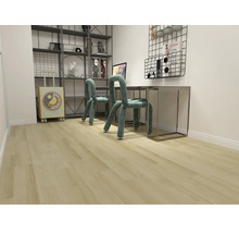 Zimmer mit Schreibtisch, Stühlen und Regal