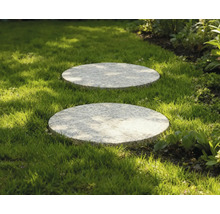 Deux pas japonais ronds en pierre dans la pelouse