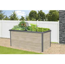 Hochbeet mit Pflanzen im Garten