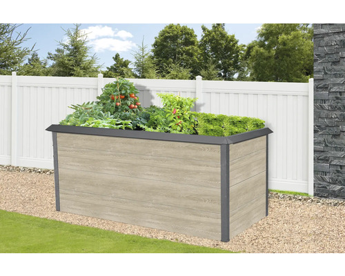 Hochbeet mit Pflanzen im Garten