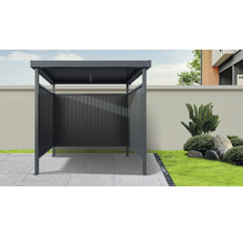 Abri de jardin moderne avec élément de paroi arrière fermé sur surface pavée