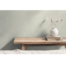 Dekorative Szene mit Holzbänken, Büchern und einer Vase mit Pflanzen