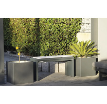 Gartenbank mit Kissen zwischen Pflanzenkübeln mit Zierpflanzen