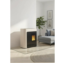 Salon avec poêle à granulés, plante, canapé et tableaux