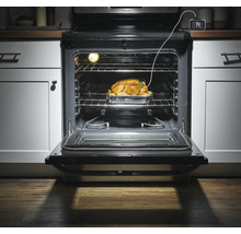 Dinde rôtie dans un four avec porte ouverte et thermomètre à viande numérique