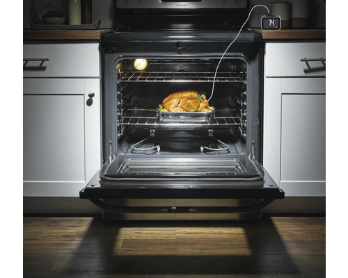 Dinde rôtie dans un four avec porte ouverte et thermomètre à viande numérique
