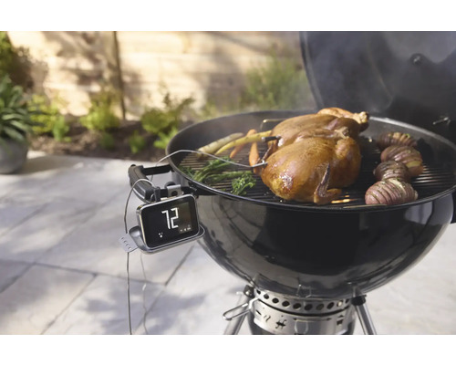 Scène de barbecue avec poulet, légumes, pommes de terre et thermomètre pour barbecue