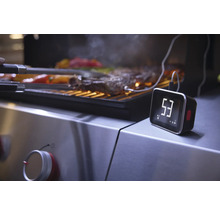 Thermomètre de gril numérique avec sonde à côté des aliments grillés