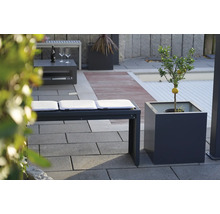 Espace extérieur avec banc, coussins et citronnier en pot