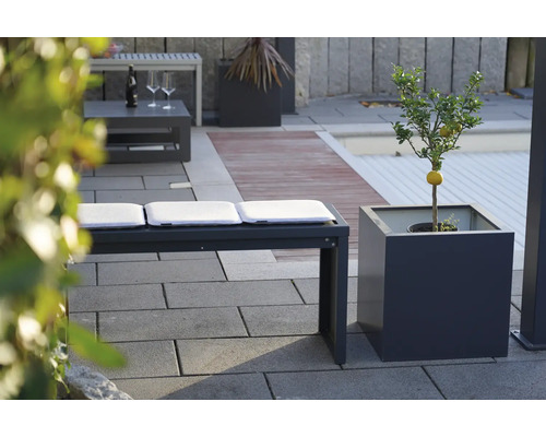 Espace extérieur avec banc, coussins et citronnier en pot