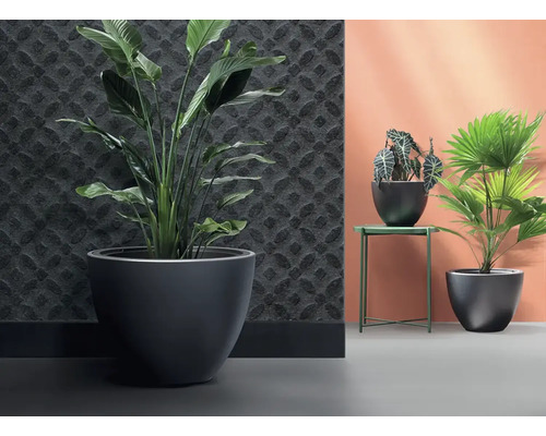 Raumansicht mit Zimmerpflanzen in Pflanzgefäßen