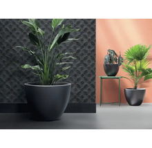 Innenraumszene mit Pflanzen in großen Pflanzgefäßen und dekorativer Wandverkleidung