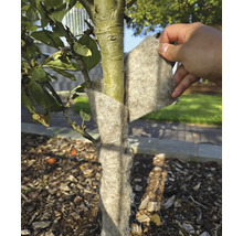Un tronc d'arbre est protégé du gel avec une protection hivernale.