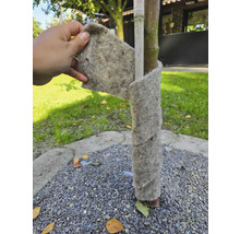 Protection de tronc d'arbre en feutre enroulée autour d'un arbre