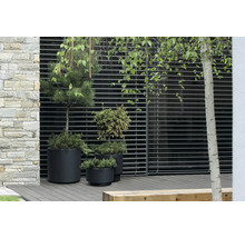 Aussenbereich mit Pflanzen in Töpfen vor einer Wand mit horizontalen Lamellen