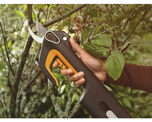 Élagueur à batterie coupant une branche