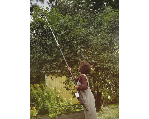 Une femme utilise un ébrancheur pour tailler un arbre.