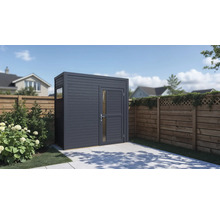 Scène de jardin avec cabanon en bois avec porte et fenêtre