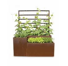 Hochbeet aus Stahl mit Kletterhilfe und Bepflanzung