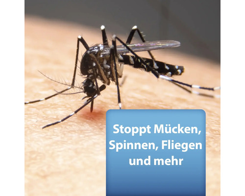 Mücke auf der Hautoberfläche