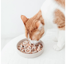 Katze frisst Nassfutter aus einem interaktiven Fressnapf