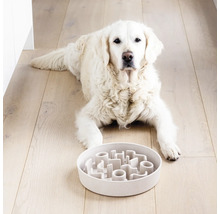 Weißer Hund liegt vor einem interaktiven Fressnapf auf einem Holzboden.