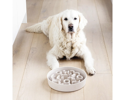 Weißer Hund liegt vor einem interaktiven Fressnapf auf einem Holzboden.