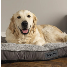 Golden Retriever allongé sur un lit pour chien gris avec le logo Scruffs