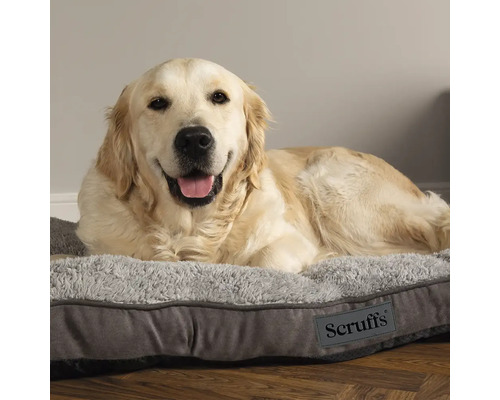 Golden Retriever allongé sur un lit pour chien gris avec le logo Scruffs