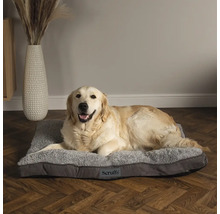 Golden Retriever allongé sur un lit pour chien Scruffs gris
