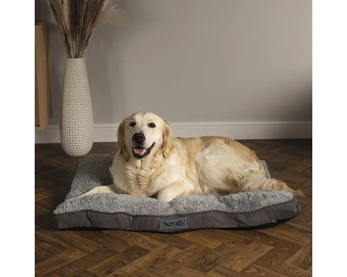 Golden Retriever allongé sur un lit pour chien Scruffs gris