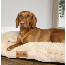 Chien allongé sur un lit pour chien Scruffs