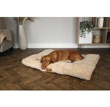 Un chien brun est allongé sur un lit pour chien beige dans le salon.