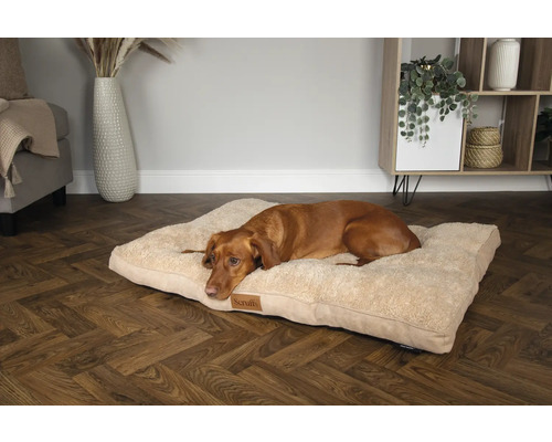 Un chien brun est allongé sur un lit pour chien beige dans le salon.