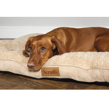 Chien allongé sur un lit pour chien avec le logo Scruffs
