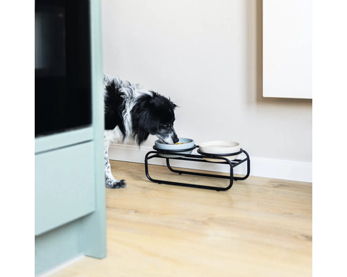 Ein Hund frisst aus einem Futternapf auf einem Futterständer