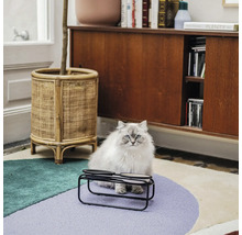 Eine Katze sitzt vor einem Doppel-Fressnapf auf einem farbenfrohen Teppich.