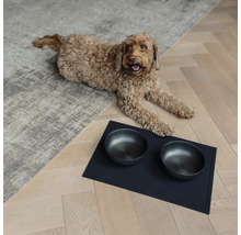 Hond läit nieft zwéi Frassnäpfe op engem Ënnerlager