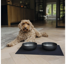 Hund liegt vor zwei Futternäpfen auf einer Unterlage im Wohnzimmer.