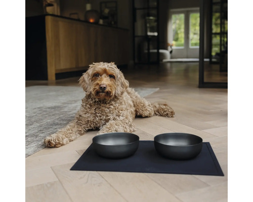 Hund liegt vor zwei Futternäpfen auf einer Unterlage im Wohnzimmer.