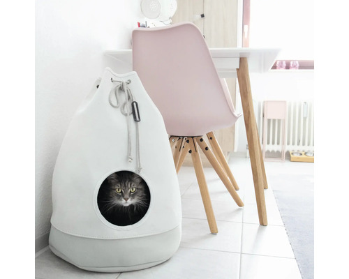 Katze in einem Katzenhaus in Taschenform