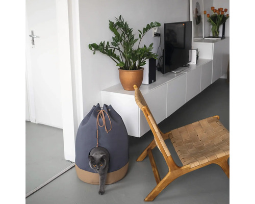 Katzenhaus neben einem Stuhl und einer Pflanze im Topf in einem hellen Wohnzimmer