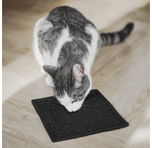 Graue Katze untersucht eine schwarze Fressnapfunterlage