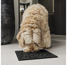 Hond schnüffelt an einer schwarzen Foussmat