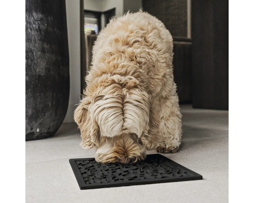 Hond schnüffelt an einer schwarzen Foussmat