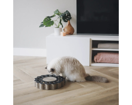 Chat sur un griffoir en forme de fleur