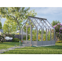 Serre de jardin avec plants de tomates et accessoires de jardinage