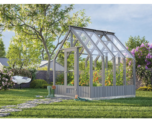 Serre de jardin avec plants de tomates et accessoires de jardinage